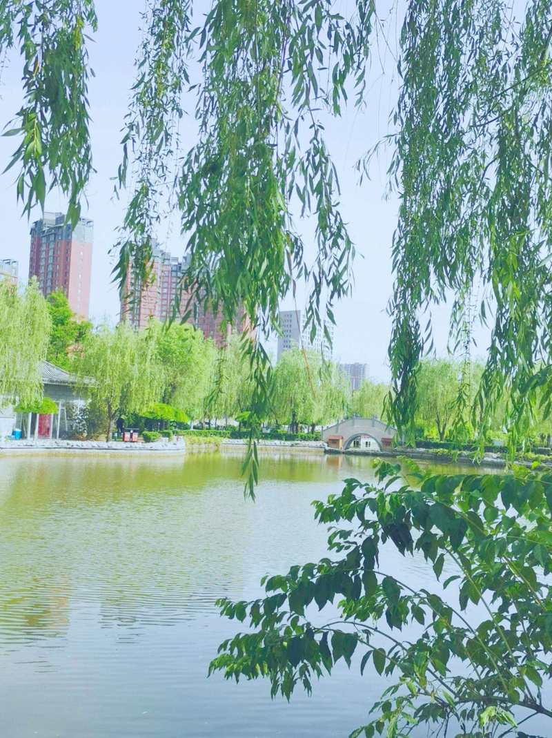 路遥:瑟瑟烟水寒 雨啸仲秋天 玉露金风染 菊黄枫叶丹
